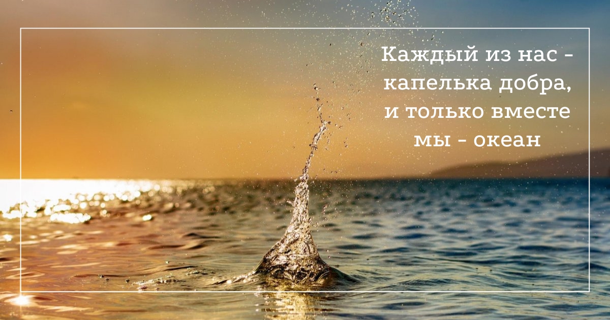 Фото к новости